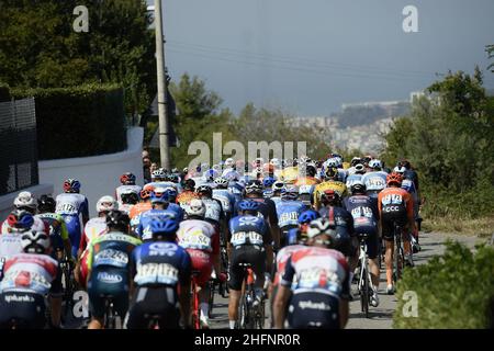 LaPresse - Marco Alpozzi September, 12 2020 Castelfidardo (Italien) Sport Radfahren Tirreno Adriatico Ausgabe 55 - von Castelfidardo nach Senigallia - 171 km im Bild: Peloton Stockfoto