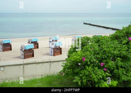 Im Sommer bunte Liegen am Strand bei Kühlungsborn. Mecklenburg-Vorpommern, Deutschland Stockfoto