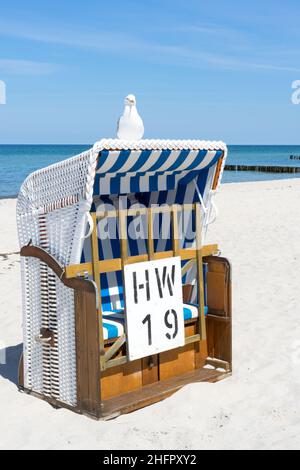 Im Sommer bunte Liegen am Strand bei Kühlungsborn. Mecklenburg-Vorpommern, Deutschland Stockfoto