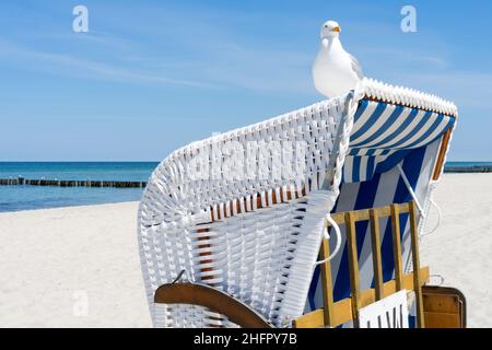 Im Sommer bunte Liegen am Strand bei Kühlungsborn. Mecklenburg-Vorpommern, Deutschland Stockfoto