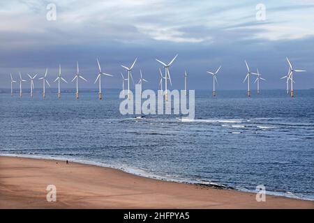 Der Offshore-Windpark Teesside in Redcar in Nordostengland. Foto: Stuart Boulton. Stockfoto