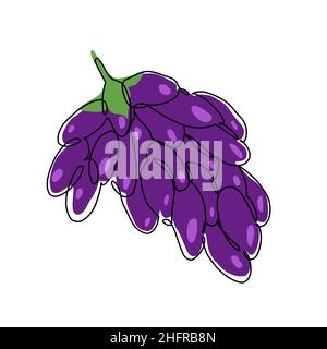 Handgezeichnete Vektordarstellung von Trauben im konrinuösen Einliniensstil. Niedliche Abbildung von Obst auf weißem Hintergrund Stock Vektor