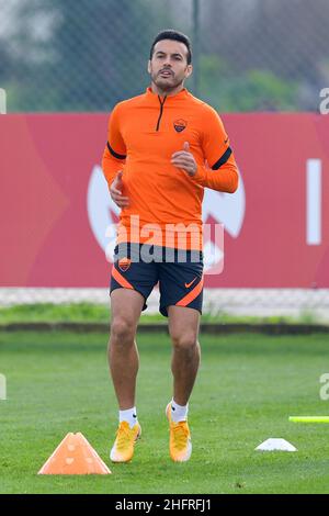 Fabio Rossi/AS Roma/LaPresse 25/11/2020 Rom (ITA) Trainingseinheit - Sportzentrum Fulvio Bernardini im Bild: Pedro Stockfoto