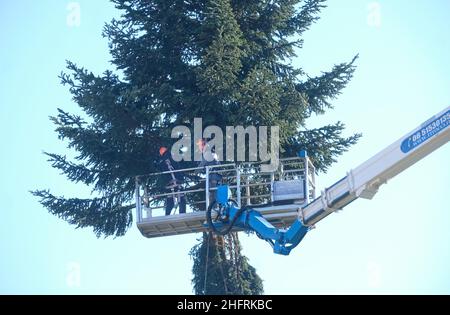 Mauro Scrobogna /LaPresse November 30, 2020&#xa0; Rom, Italien Nachrichten der Weihnachtsbaum auf der Piazza Venezia auf dem Foto: Operationen zur Vorbereitung des Weihnachtsdekors Symbol der Stadt, der Weihnachtsbaum auf der Piazza Venezia, jetzt getauft mit dem Namen 'spelacchio' Stockfoto