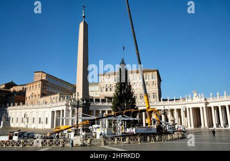 Mauro Scrobogna /LaPresse November 30, 2020&#xa0; Rom, Italien Nachrichten Vatikanstadt - Petersplatz bereitet sich auf Weihnachten vor auf dem Foto: Vorbereitungen für die Errichtung der Krippe und des Weihnachtsbaums auf der Piazza San Pietro Stockfoto