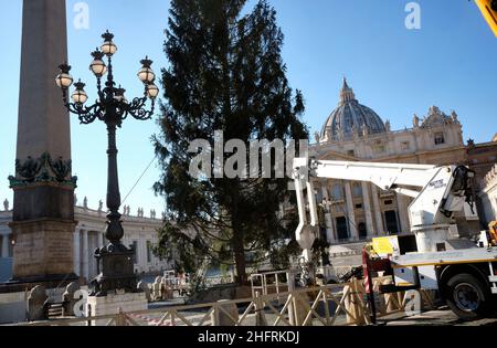 Mauro Scrobogna /LaPresse November 30, 2020&#xa0; Rom, Italien Nachrichten Vatikanstadt - Petersplatz bereitet sich auf Weihnachten vor auf dem Foto: Vorbereitungen für die Errichtung der Krippe und des Weihnachtsbaums auf der Piazza San Pietro Stockfoto