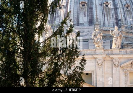 Mauro Scrobogna /LaPresse November 30, 2020&#xa0; Rom, Italien Nachrichten Vatikanstadt - Petersplatz bereitet sich auf Weihnachten vor auf dem Foto: Vorbereitungen für die Errichtung der Krippe und des Weihnachtsbaums auf der Piazza San Pietro Stockfoto