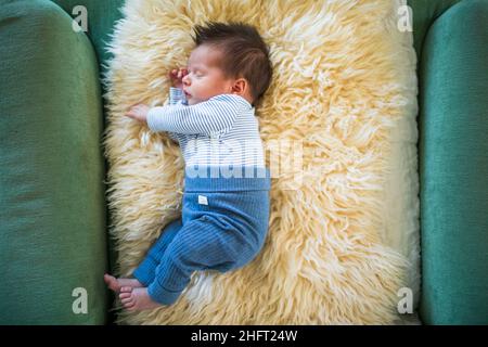 Blick aus der Perspektive des Neugeborenen, das auf einer Lammhautdecke liegt. Stockfoto