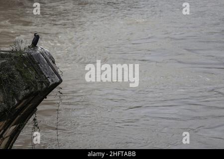 Cecilia Fabiano/LaPresse 04. Januar 2021 Roma (Italien) News: Aufgrund der starken Regenfälle hat der Tiber die niedrigen Ufer passiert und ist in die Fahrrad-Fußgängerstraße in der Pic eingedrungen: Isola Tiberina Stockfoto