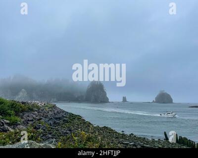 La Push Beach ist eine Reihe von drei Stränden in der Nähe der Gemeinde La Push, Washington, an der Pazifikküste der Vereinigten Staaten. Der Strand ist am meisten prom Stockfoto