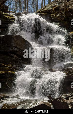 Das Wasser fließt durch einen kleinen Gebirgsbach und fließt über Basaltsteinfelsen. Ein kleiner Wasserfall fließt durch das Moos Stockfoto