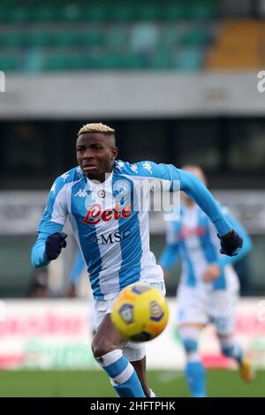 Paola Garbuio/LaPresse 24. Januar 2021 Verona, Italien Sportfußball Hellas Verona vs Napoli -Italienische Fußballmeisterschaft League A Tim 2020/2021 - Bentegodi Stadion. Im Bild: Osimhen Sieger Stockfoto