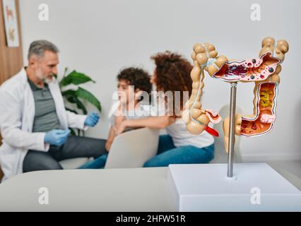 Konsultation Gastroenterologe für Kinderpatient. Anatomisches Darmmodell auf dem Arzttisch im Vordergrund Stockfoto