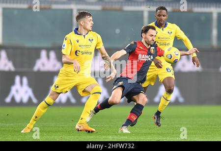 LaPresse - Tano Pecoraro 20 Februar 2021 Stadt Genua - (Italien) Sport Soccer Genua vs Hellas Verona Italienische Fußballmeisterschaft Liga A Tim 2020/2021 - "Luigi Ferraris" Stadion auf dem Bild: Badelj mailand Stockfoto