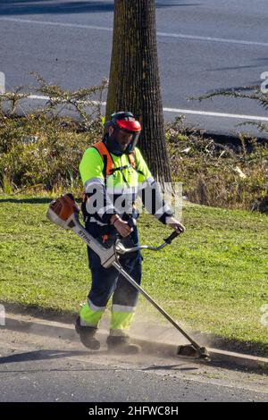 Arbeiter mähen an sonnigen Tagen im Freien Rasen mit einem Rasentrimmer Stockfoto