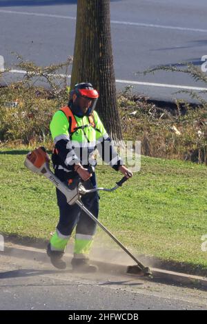 Arbeiter mähen an sonnigen Tagen im Freien Rasen mit einem Rasentrimmer Stockfoto