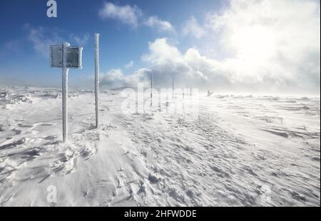 Winterlandschaft gegen die Sonne. Stockfoto