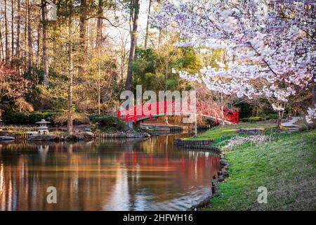 Japanische Gärten im Frühling. Stockfoto