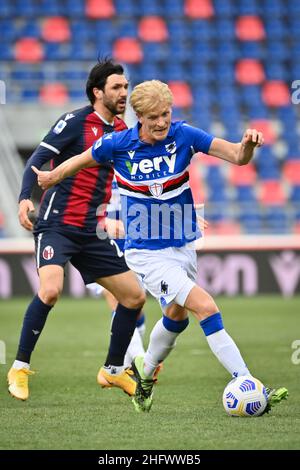 Massimo Paolone/LaPresse 14. März 2021 Bologna, Italien Sportfußball Bologna vs Sampdoria - Italienische Fußballmeisterschaft Liga A Tim 2020/2021 - Renato Dall'Ara Stadion im Bild: Morten Thorsby (UC Sampdoria) in Aktion Stockfoto