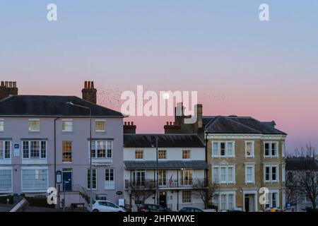 Royal Tunbridge Wells, Kent, Großbritannien. 17th. Januar 2022. Der erste Vollmond von 2022, der als Wolf Moon bezeichnet wird, steigt über Royal Tunbridge Wells auf und ein Murmeln tanzt vor dem Neumond, während die Dämmerung einbricht und der Himmel vor dem Hintergrund der viktorianischen Häuser rund um den Common rosa wird. ©Sarah Mott / Alamy Live News Stockfoto