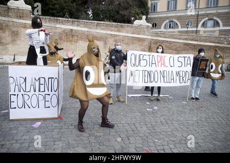 Roberto Monaldo / LaPresse 19-03-2021 Rom (Italien) Freitag für die Zukunft im Bild Ein Moment der Demonstration Stockfoto