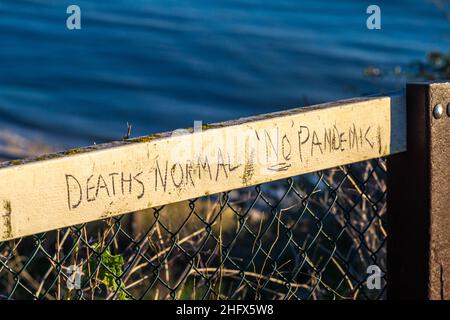 „Tote normal“ und „Keine Pandemie“-Graffiti an einem Zaun in Boscombe, Verschwörungstheoretikkonzept, Bournemouth, Dorset, England, VEREINIGTES KÖNIGREICH Stockfoto