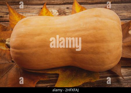 butternut auf einem Holztisch mit Herbstblättern Stockfoto