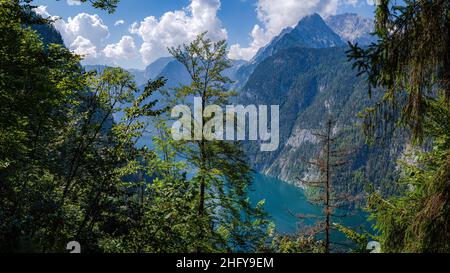 Der Königssee im Berchtesgadener Land im Sommer, Blick von oben Stockfoto