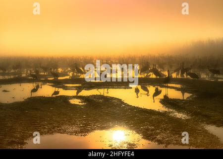 Sonnenuntergang in Israel Blick auf das Heilige Land Stockfoto