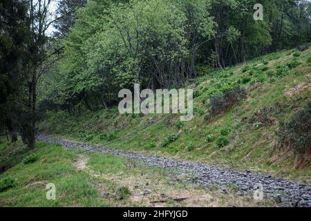 Foto Piero Cruciatti / LaPresse24/05/2021 Stresa, ItalienCronacaPiemonte, incidente funivia Stresa-Mottarone: il day afterNella foto: la zona dell&#X2019;incidente della funivia Foto Piero Cruciatti / LaPresseMai 24, 2021 Stresa, ItalienNachrichtenItalien unter Schock, als 14 Menschen bei einem Seilbahnunfall in der Nähe des MaggioreesAuf dem Foto: Der Unfall Stockfoto