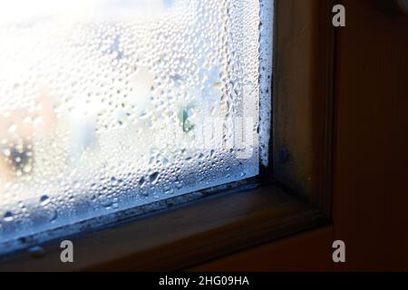 Schimmel und Feuchtigkeit am Fenster im Winter Stockfoto