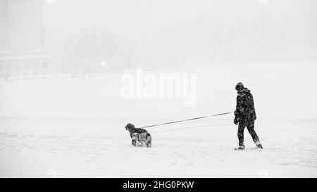 Lake Louise, Kanada - 22 2021. Dez.: Ein Mann geht mit dem Hund auf dem gefrorenen Lake Louise in Alberta, Kanada Stockfoto