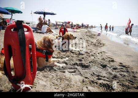 Foto Cecilia Fabiano/ LaPresse 14 Agosto 2021 Roma (Italia) Cronaca Fine settimana di ferragosto al Mare Nella Foto : il lido di Ostia Foto Cecilia Fabiano/ LaPresse August 14 , 2021 Roma (Italien) News : Mitte August Wochenende im Pic : der Strand von Ostia in Rom Stockfoto