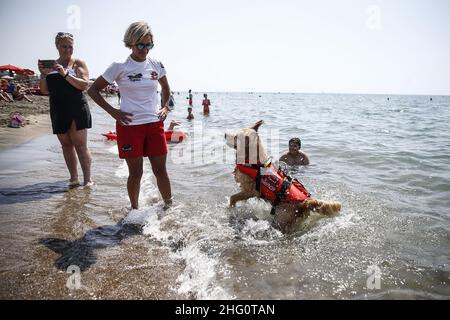 Foto Cecilia Fabiano/ LaPresse 14 Agosto 2021 Roma (Italia) Cronaca Fine settimana di ferragosto al Mare Nella Foto : il lido di Ostia Foto Cecilia Fabiano/ LaPresse August 14 , 2021 Roma (Italien) News : Mitte August Wochenende im Pic : der Strand von Ostia in Rom Stockfoto