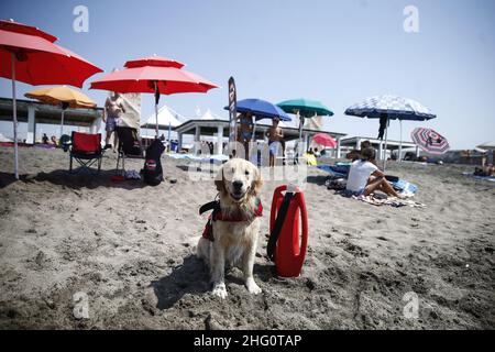 Foto Cecilia Fabiano/ LaPresse 14 Agosto 2021 Roma (Italia) Cronaca Fine settimana di ferragosto al Mare Nella Foto : il lido di Ostia Foto Cecilia Fabiano/ LaPresse August 14 , 2021 Roma (Italien) News : Mitte August Wochenende im Pic : der Strand von Ostia in Rom Stockfoto