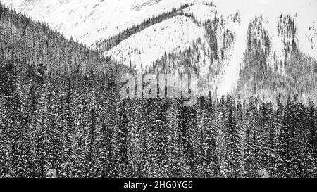 Yoho National Park, Kanada - 23 2021. Dez.: Gefrorener Emerald Lake versteckt sich im Winterwald umgeben von rocky mountains im Yoho National Park Stockfoto