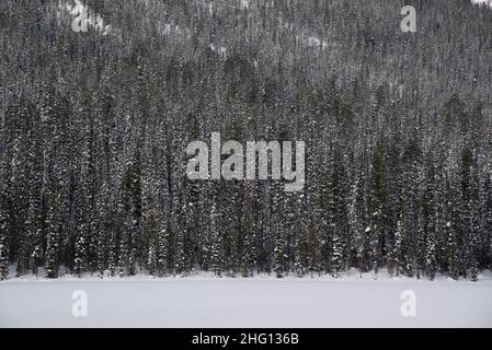 Yoho National Park, Kanada - 23 2021. Dez.: Gefrorener Emerald Lake versteckt sich im Winterwald umgeben von rocky mountains im Yoho National Park Stockfoto