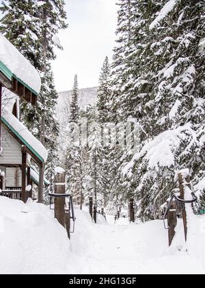 Yoho National Park, Kanada - 23 2021. Dez.: Holzhütte und cabane an der Seite des Frozen Emerald Lake, versteckt im Winterwald, umgeben von rockies Mount Stockfoto