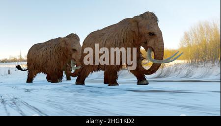 Eine Illustration aus dem Jahr 3D einer Herde von Woolly Mammuts, die während der Eiszeit über ein schneebedecktes Feld wanderte. Stockfoto