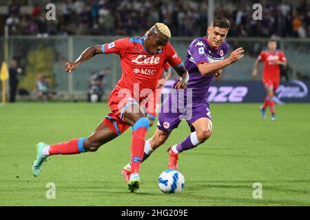 Foto Alfredo Falcone / LaPresse03 Ottobre 2021 FirenzeSport CalcioFiorentina - Napoli - Campionato di Calcio Serie A 2021/2022 - Stadio Artemio Franchi di FirenzeNella foto: OsimhenFoto Alfredo Falcone / LaPresse03. Oktober 2021 Florenz, ItalienSport SoccerFiorentina - Neapel - Italienische Fußball-Liga A 2021/2022 - Artemio Franchi Stadion von FlorenceIm Bild: Osimhen Stockfoto