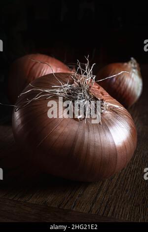 Ganze und reife Zwiebeln auf einem Holztisch mit dunklem Hintergrund Stockfoto
