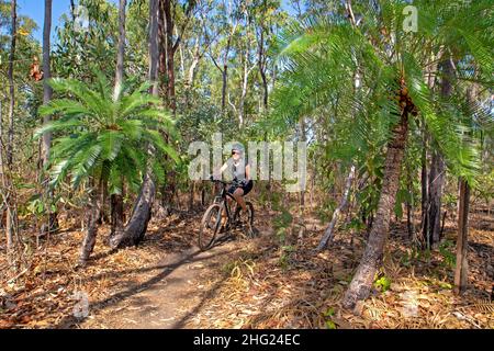 Mountainbiken im Charles Darwin National Park Stockfoto