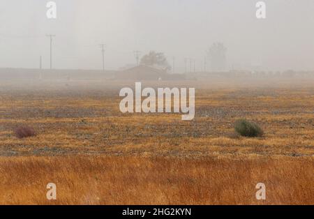 Während einer Dürreperiode setzt sich ein Staubsturm über dem ländlichen Ackerland nieder. Central Valley, Nordkalifornien, November 2021 Stockfoto