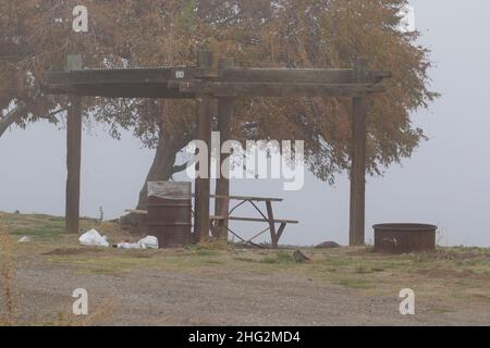 Trotz der vorhandenen Mülltonne wurde Müll auf dem öffentlichen Campingplatz im San Luis Reservoir State Park, Merced Co CA, zurückgelassen. Stockfoto