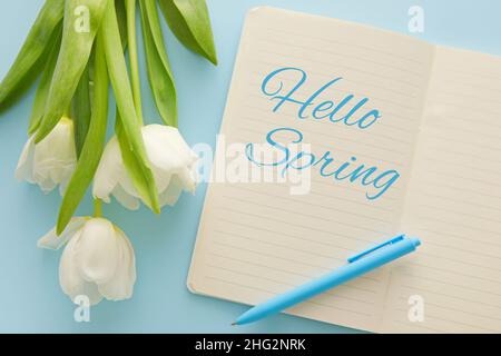 Notizbuch mit Text HALLO FRÜHLING und Tulpenblüten auf blauem Hintergrund Stockfoto