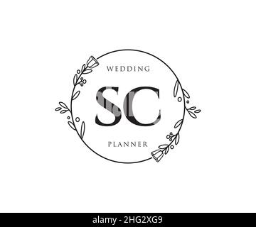 Feminines SC-Logo. Verwendbar für Natur, Salon, Spa, Kosmetik und Beauty Logos. Flaches Vektor-Logo-Design-Template-Element. Stock Vektor