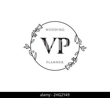 VP feminines Logo. Verwendbar für Natur, Salon, Spa, Kosmetik und Beauty Logos. Flaches Vektor-Logo-Design-Template-Element. Stock Vektor