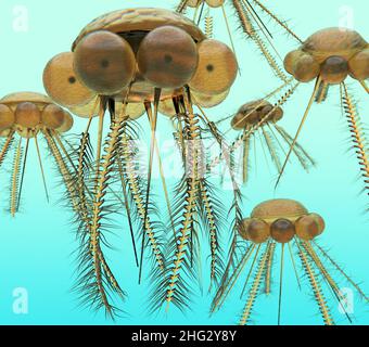 Eine Illustration des kleinen ausgestorbenen Meerestieres Graptolites. Sie schwebten vor 485 Millionen Jahren frei in den flachen Meeren des Ordoviziums. Stockfoto