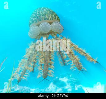 Eine Illustration eines Graptoliten (Diplograptus), der in einem Ordovizianischen Meer schwimmt (vor etwa 505 bis 438 Millionen Jahren). Stockfoto