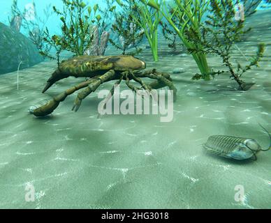 Abbildung des Eurypterus (Sea Scorpion), der einen Trilobiten in einer Unterwasserszene aus der Ordovizium-Zeit (vor 300 Millionen Jahren) jagte Stockfoto